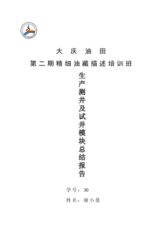 生产测井总结报告