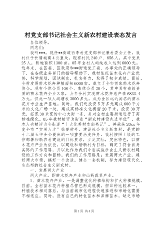 村党支部书记社会主义新农村建设表态发言稿 (2)