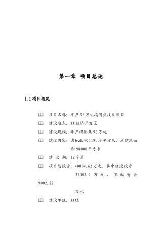 捣固焦技改项目可行性研究报告