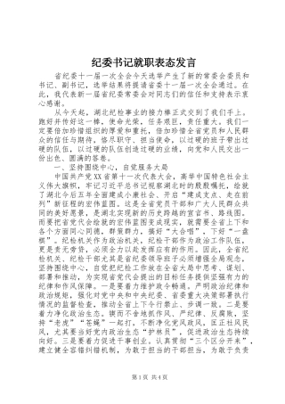 纪委书记就职表态发言稿 (2)
