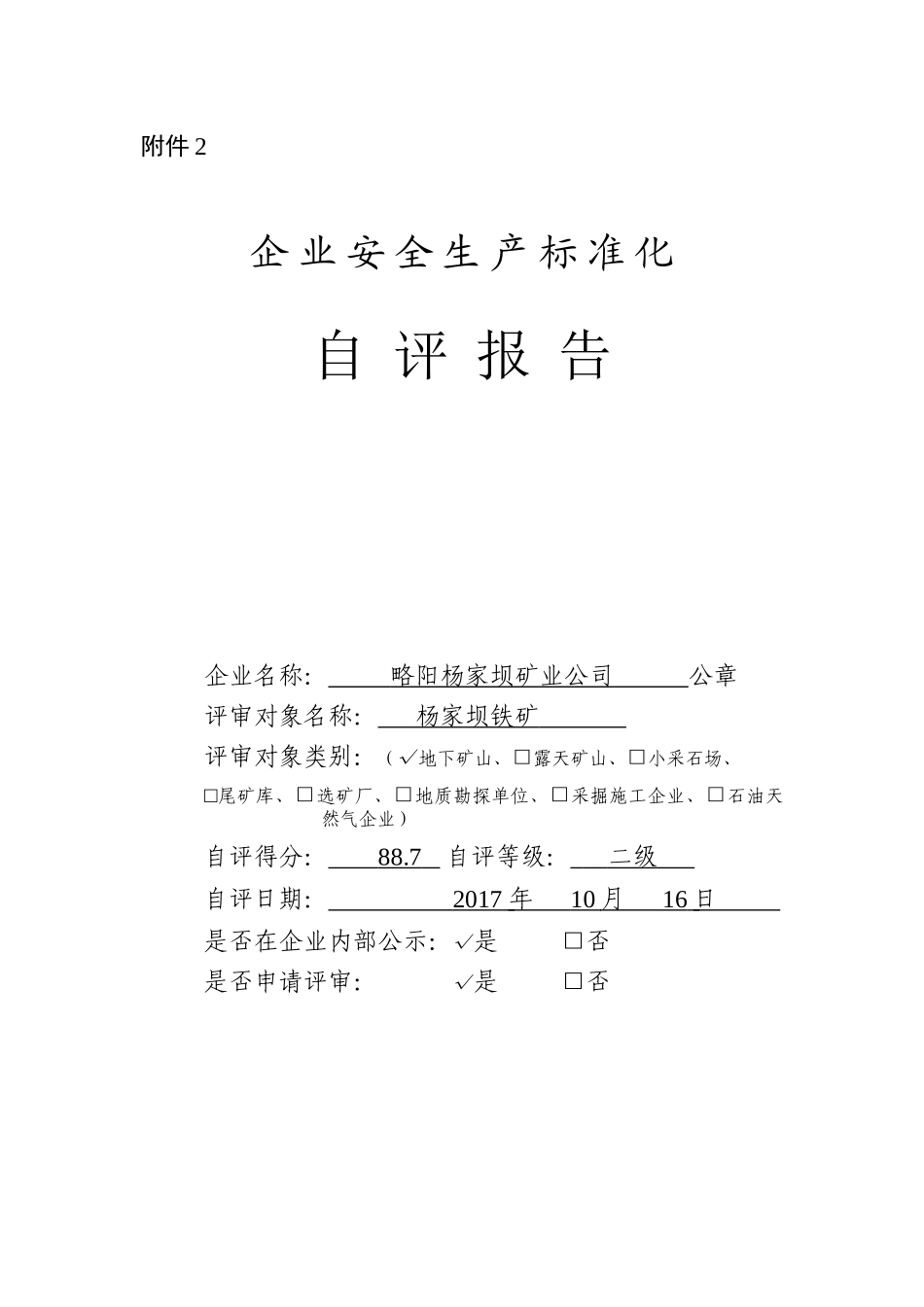 年安全生产标准自评报告_第1页