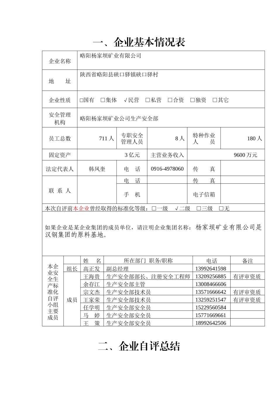 年安全生产标准自评报告_第2页