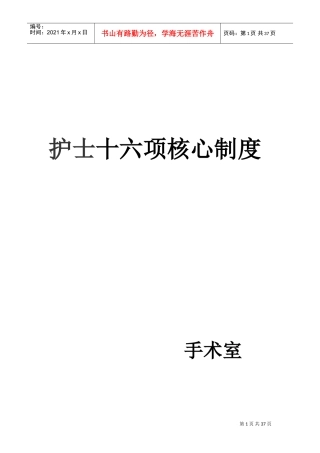 护士十六项核心制度(DOC37页)
