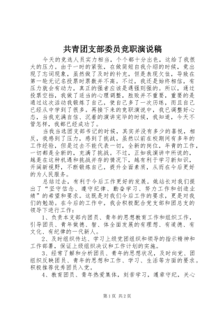 共青团支部委员竞职演说