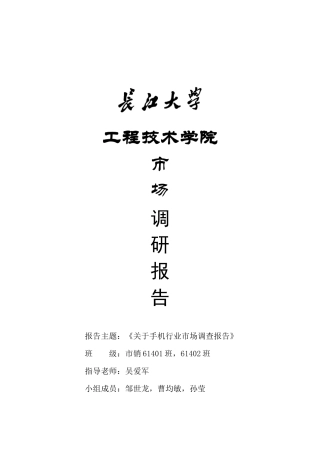 手机行业市场调查报告