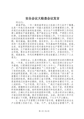 安全会议大检查会议发言稿 (3)