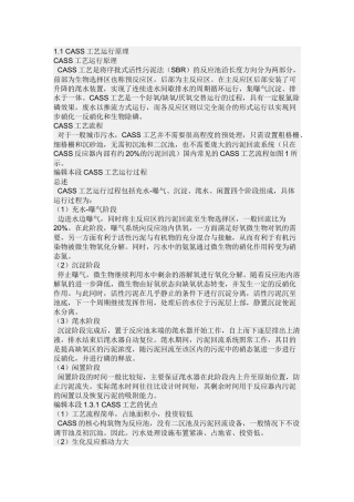 CASS工艺