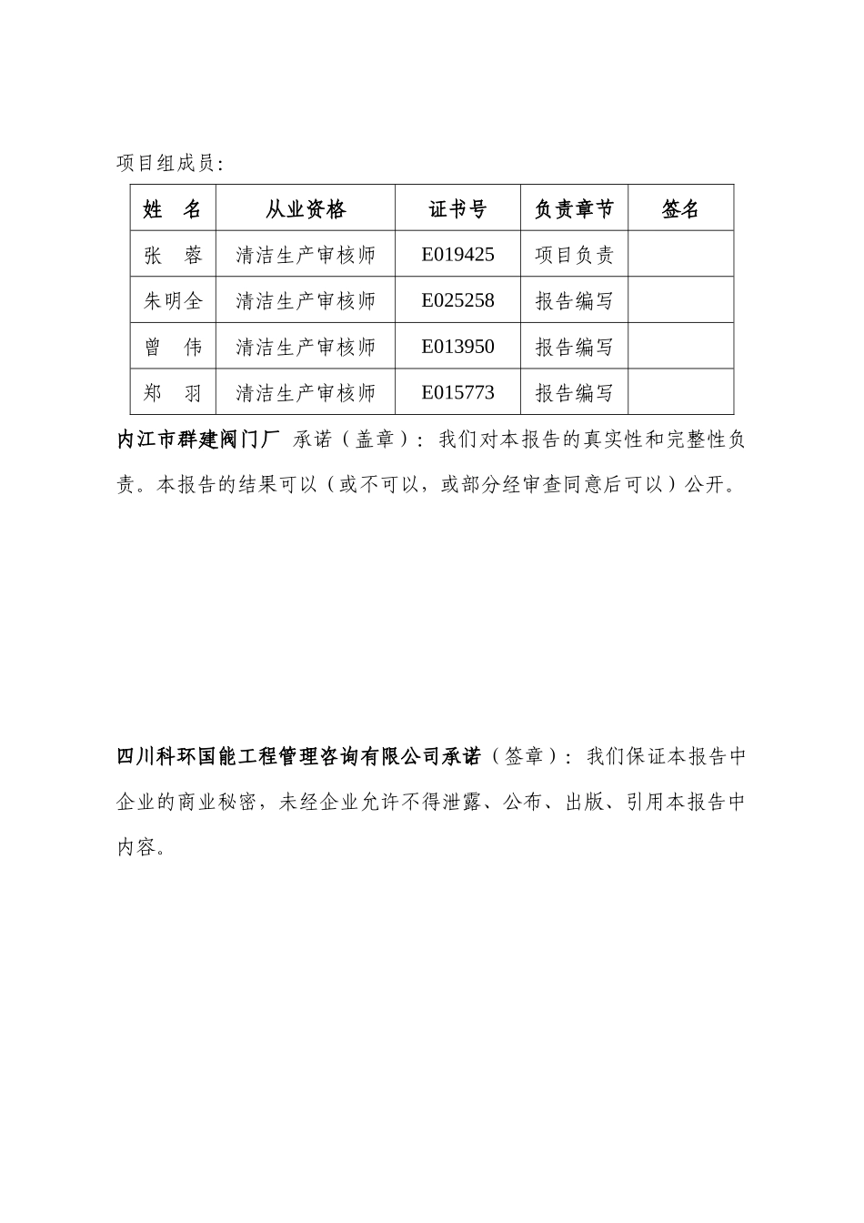 群建公司清洁生产审核验收报告_第3页