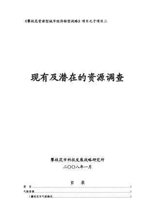 攀枝花资源型城市经济转型战略项目之子项目二