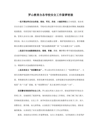 罗山教育办各学校安全工作紧锣密鼓
