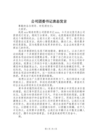 公司团委书记表态发言稿
