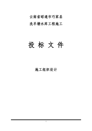 新建水库施工组织设计