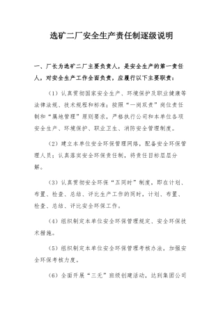 选矿厂安全生产责任制逐级说明
