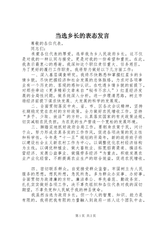 当选乡长的表态发言稿