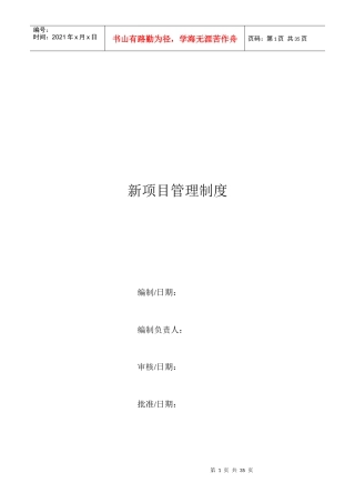 新项目管理制度