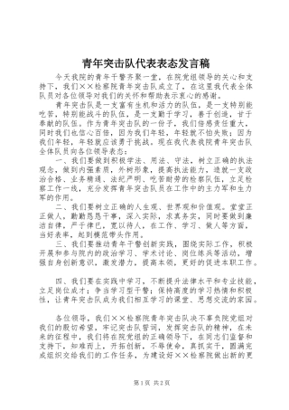青年突击队代表表态发言_1