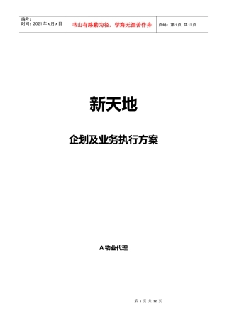新天地企划及业务执行方案