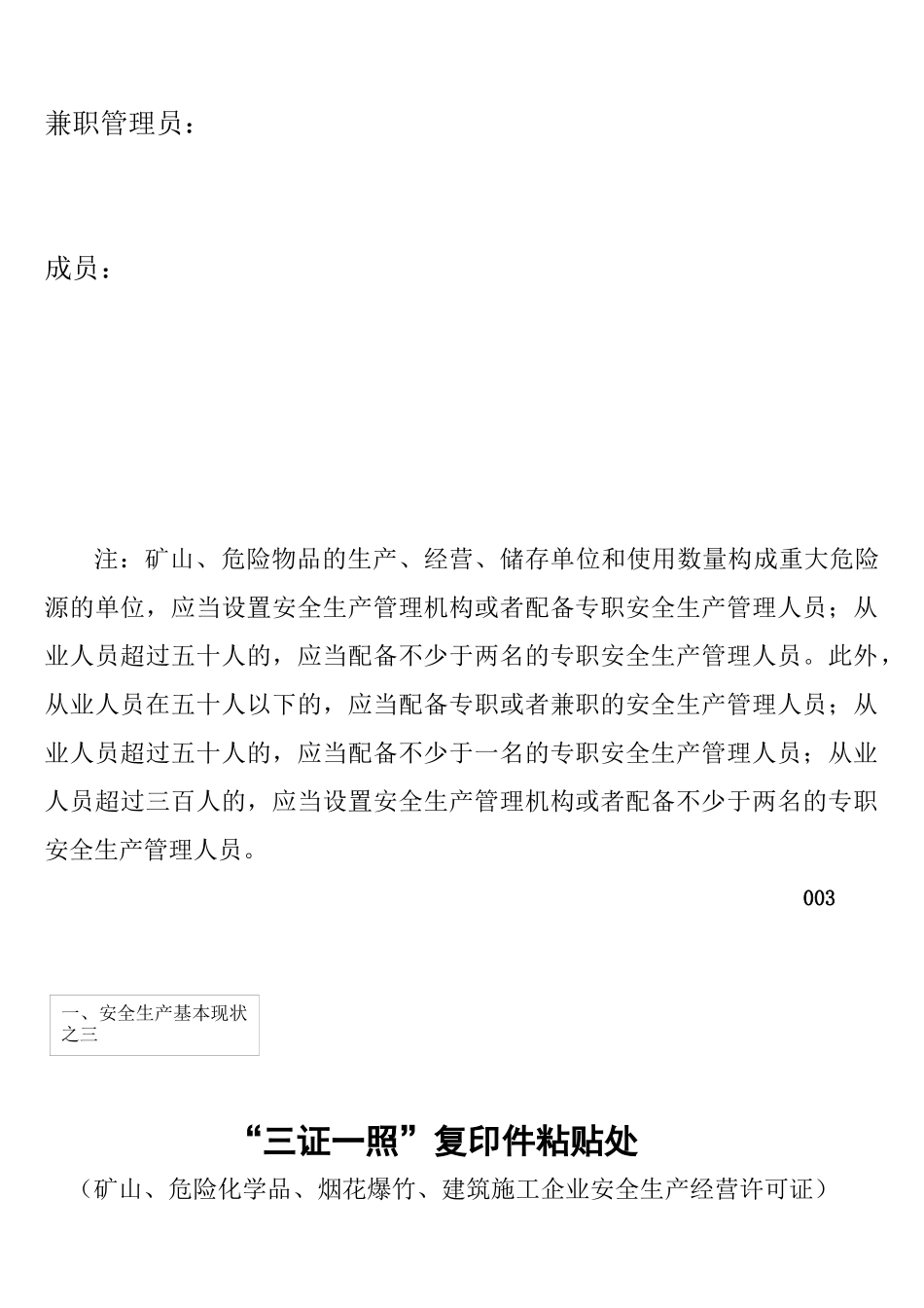 安全生产基本情况表格_第3页