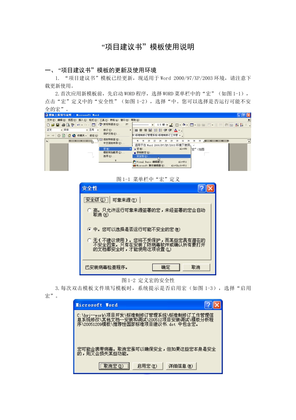推荐性国家标准项目建议书doc-“项目建议书”模板及分析_第1页
