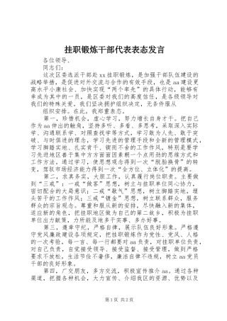 挂职锻炼干部代表表态发言稿 (2)