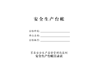 安全生产台帐(十三种二十四类)
