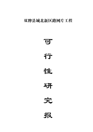 新区路网片工程可行性研究报告