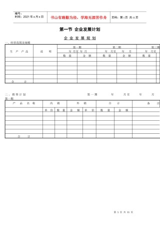 新项目开发计划(1)
