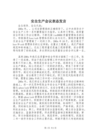 安全生产会议表态发言稿 (2)