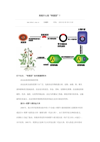 食用菌生产技术