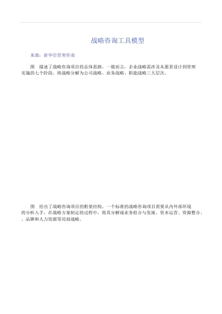 新华信战略咨询工具模型(DOC9页)