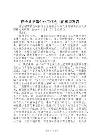 在全县乡镇企业工作会上的典型发言稿 (2)