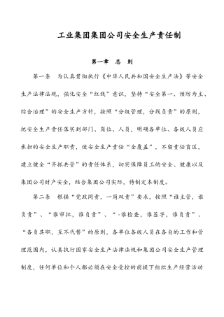 集团公司安全生产责任制管理办法(35页)