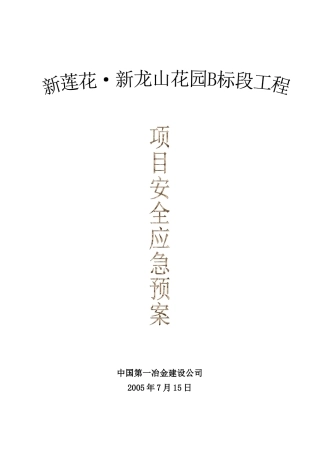 新龙山工程项目安全应急预案