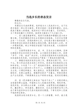 当选乡长的表态发言稿 (2)