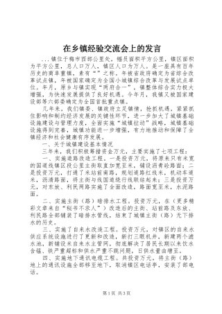 在乡镇经验交流会上的发言稿 (4)