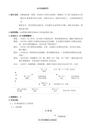 6s作业指导书