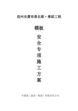 新模板安全专项方案