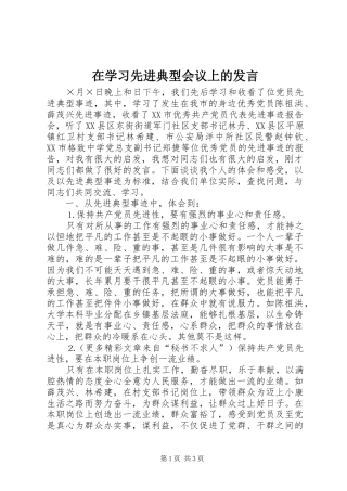 在学习先进典型会议上的发言稿 (3)