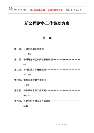 新公司财务策划方案