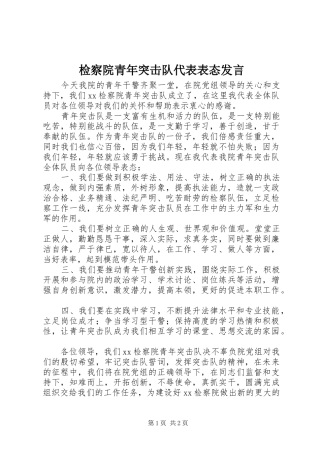 检察院青年突击队代表表态发言稿