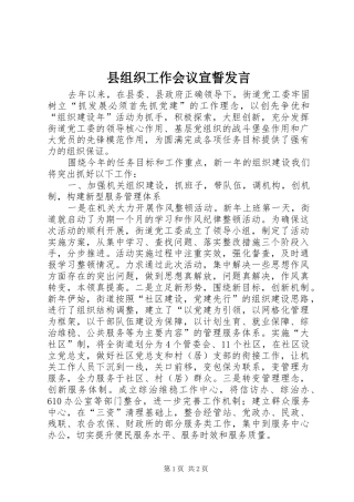 县组织工作会议宣誓发言稿