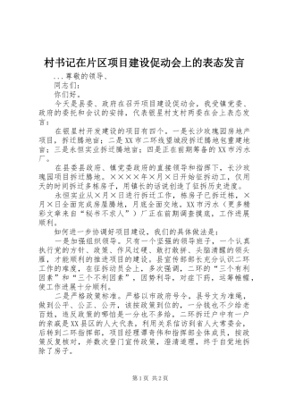 村书记在片区项目建设促动会上的表态发言稿