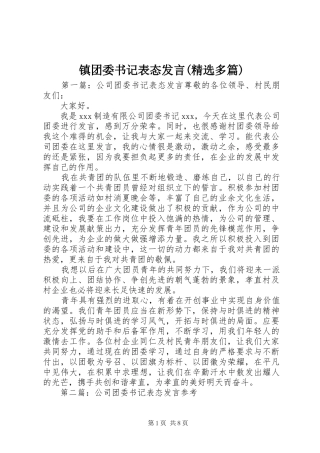 镇团委书记表态发言稿(精选多篇)