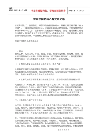 探索中国燃料乙醇发展之路(1)