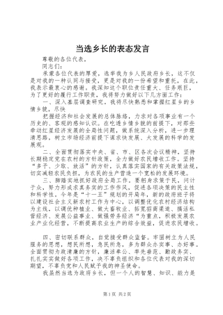 当选乡长的表态发言稿 (3)