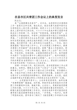 在县市区共青团工作会议上的典型发言稿 (4)