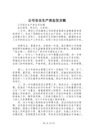 公司安全生产表态发言