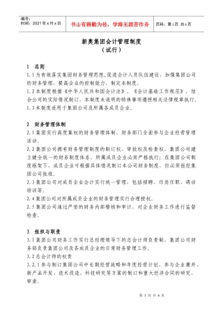 新奥集团会计管理制度（试行）