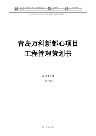 新都心项目工程管理策划书(讨论版)