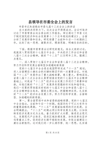 县领导在市委全会上的发言稿 (3)